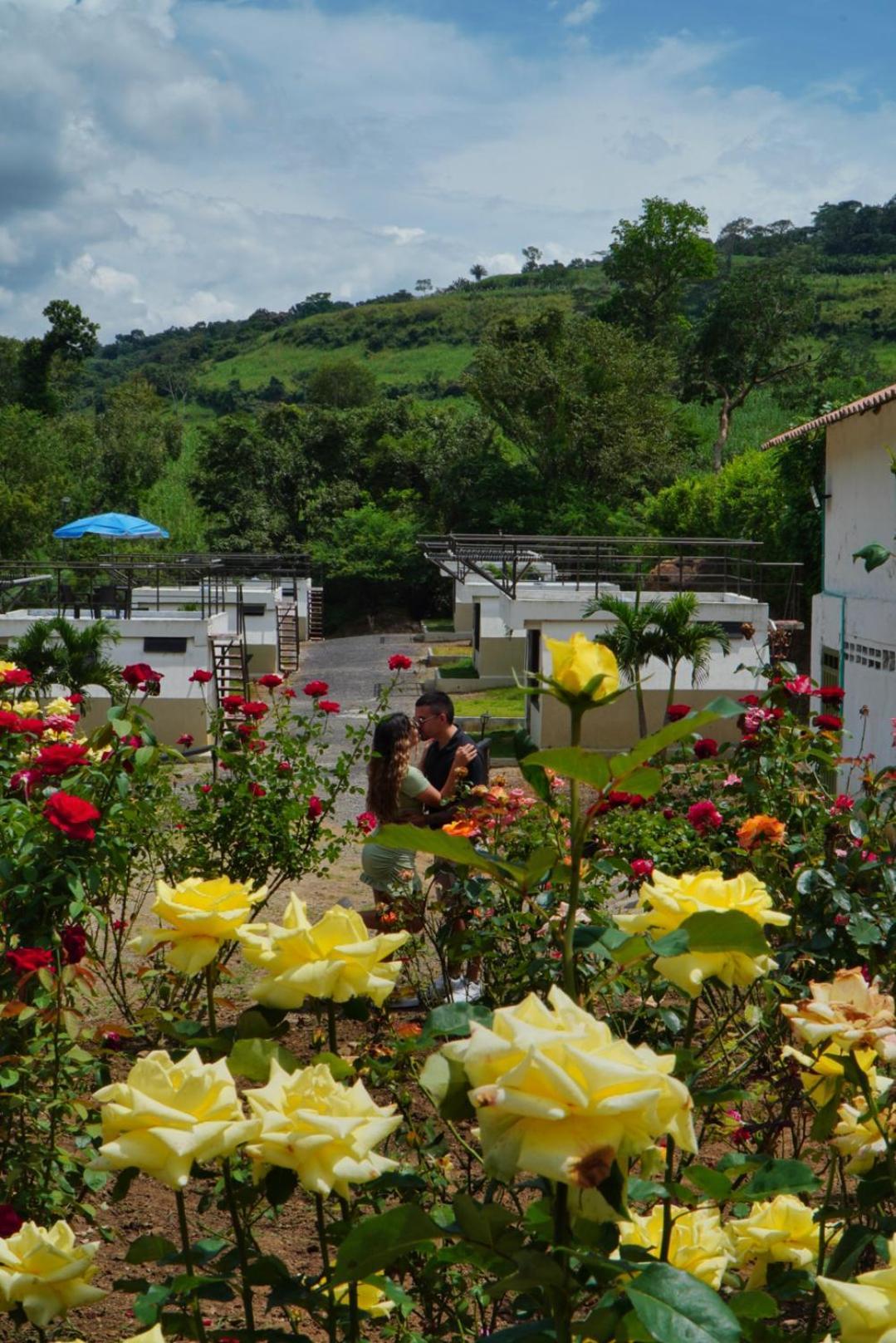 Cielo Abierto Glamping Hotel Valle de San Jose Exterior photo